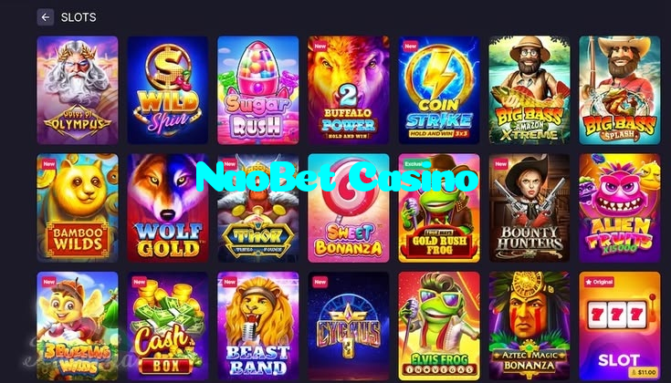 available types of NaoBet Casino bet including pre-match live express and system bets